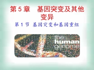 高中生物《51基因突变和基因重组》课件新人教版必修2