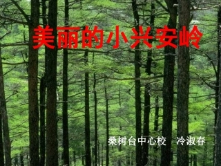 《美丽的小兴安岭》课件(1)