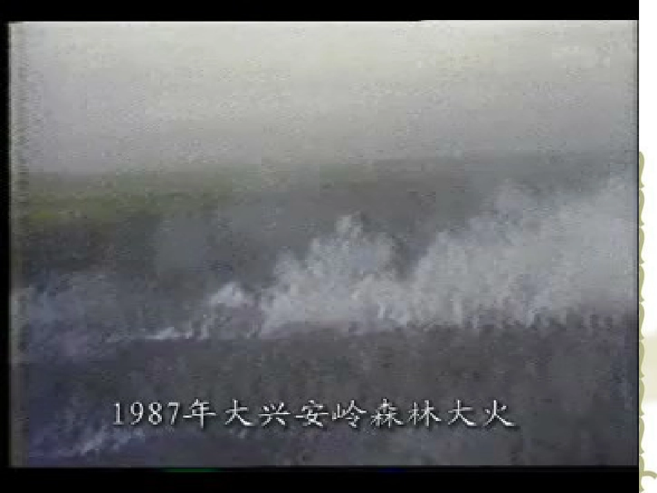 课件：当危险发生的时候课件1_第3页