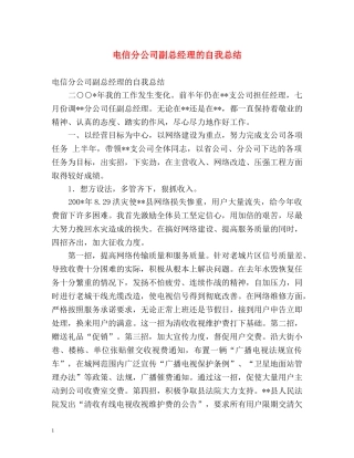 电信分公司副总经理的自我总结 