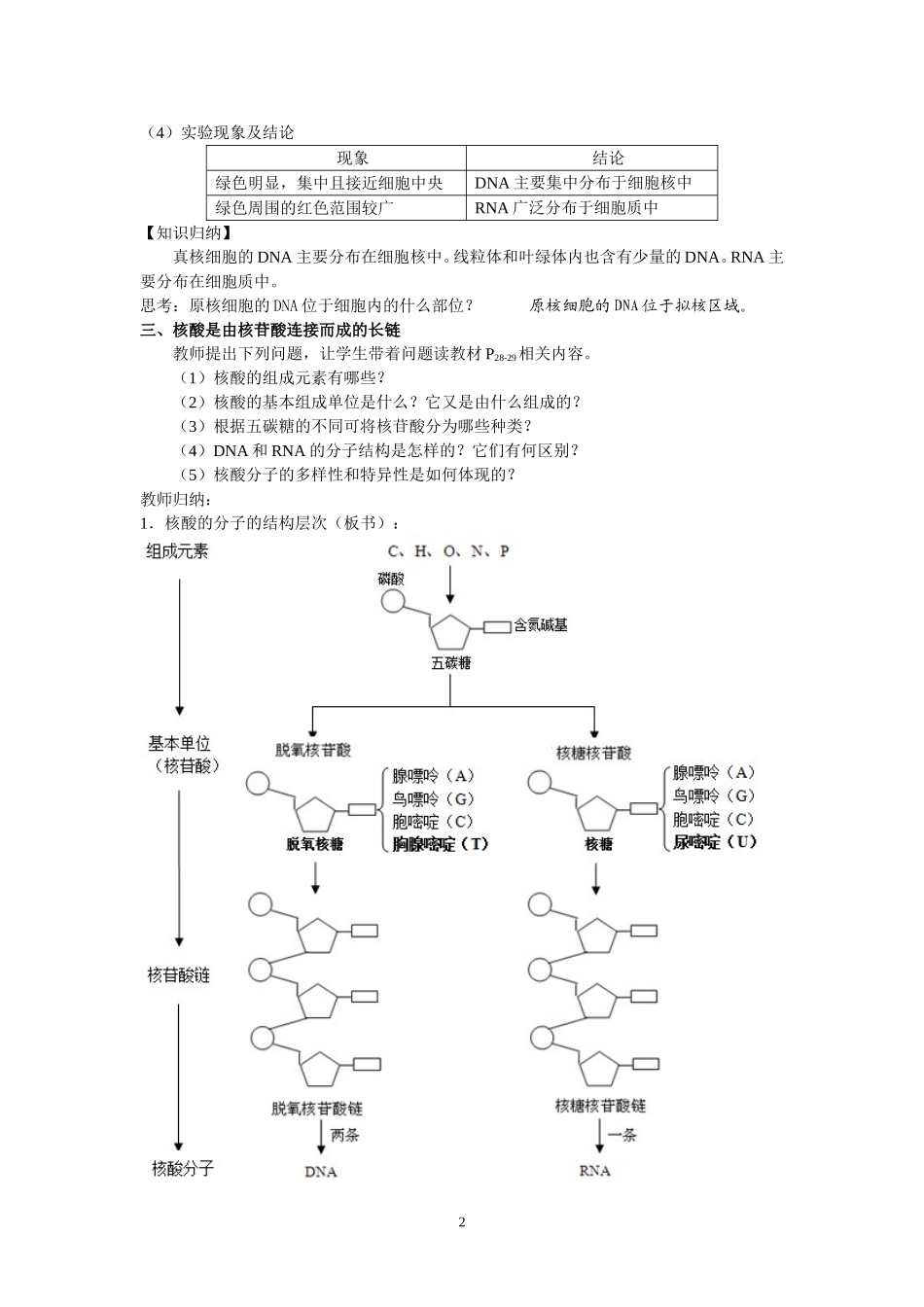 遗传信息的携带者—核酸教案_第2页