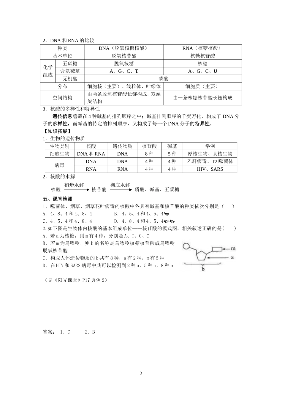 遗传信息的携带者—核酸教案_第3页