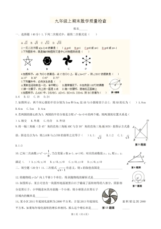 2013届九年级上学期期末质量检测数学试题（无答案）