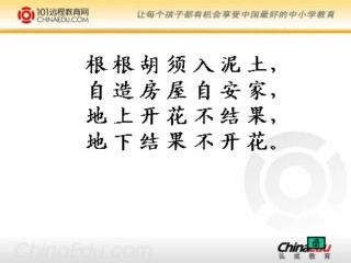 《落花生》课件 (5)