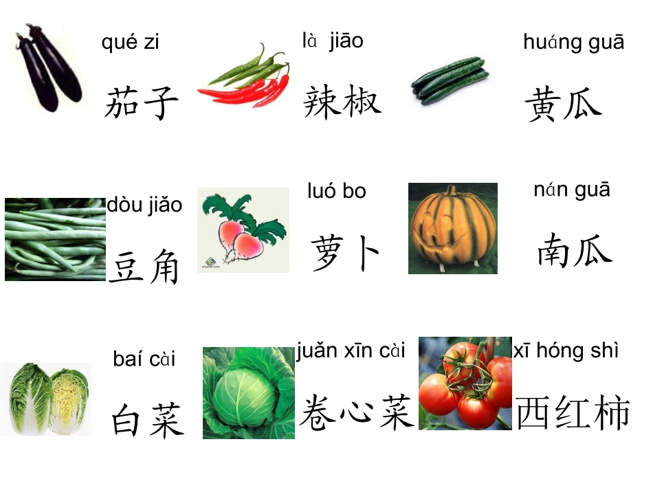 《菜园里》教学课件_第3页