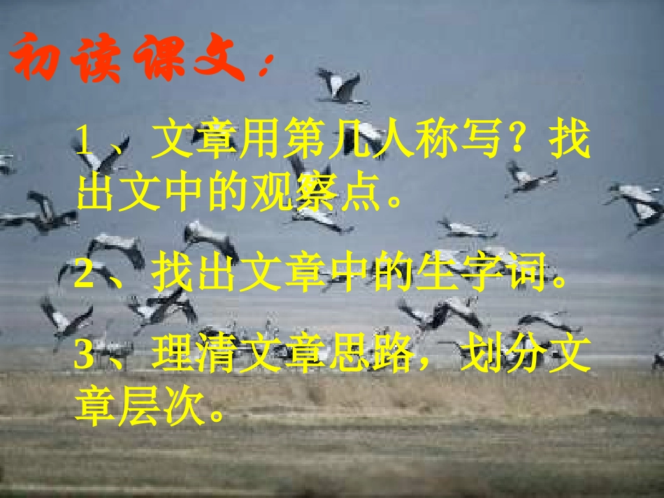 《鹤群》课件_第2页