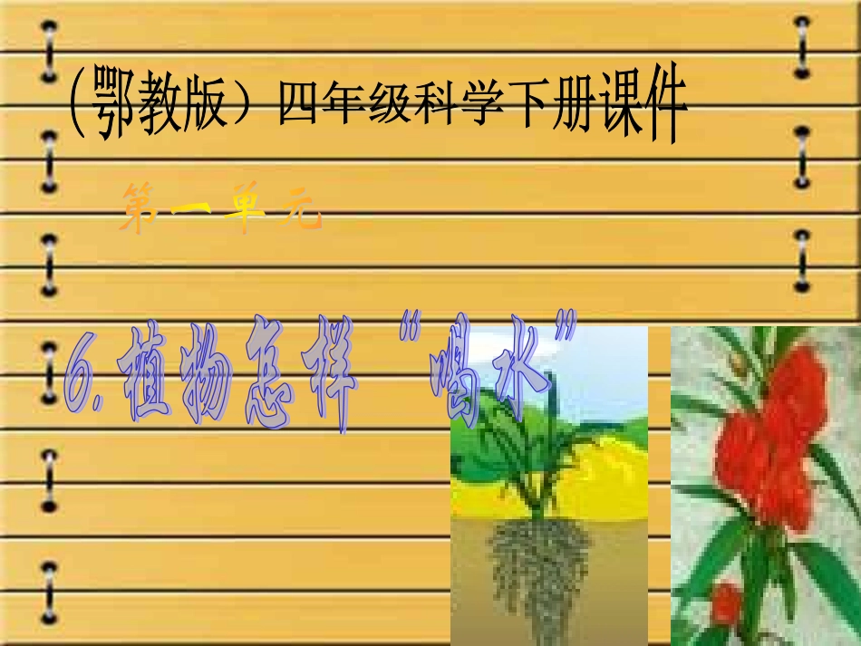 （鄂教版）四年级科学下册课件植物怎样“喝水”1_第1页