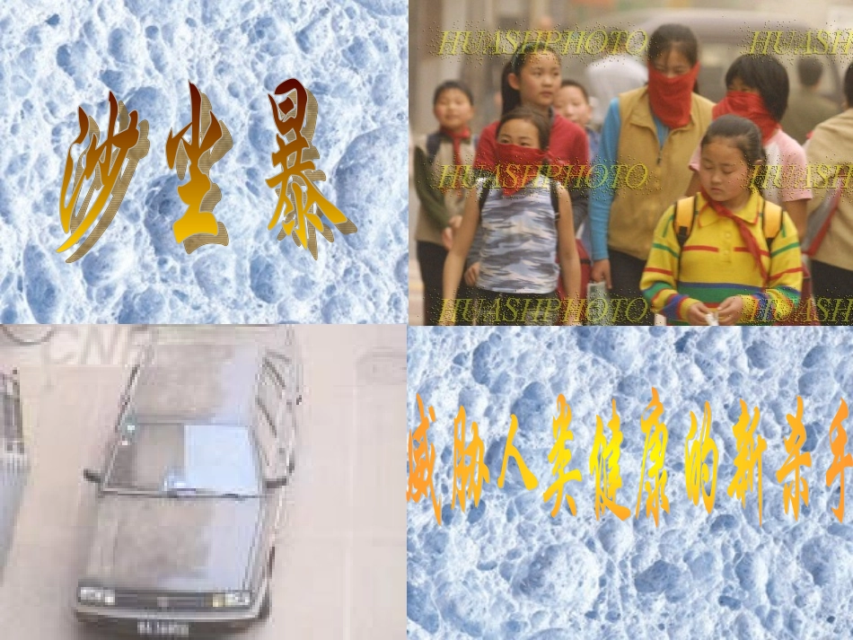 《樵夫，别砍那棵树》课件4_第2页