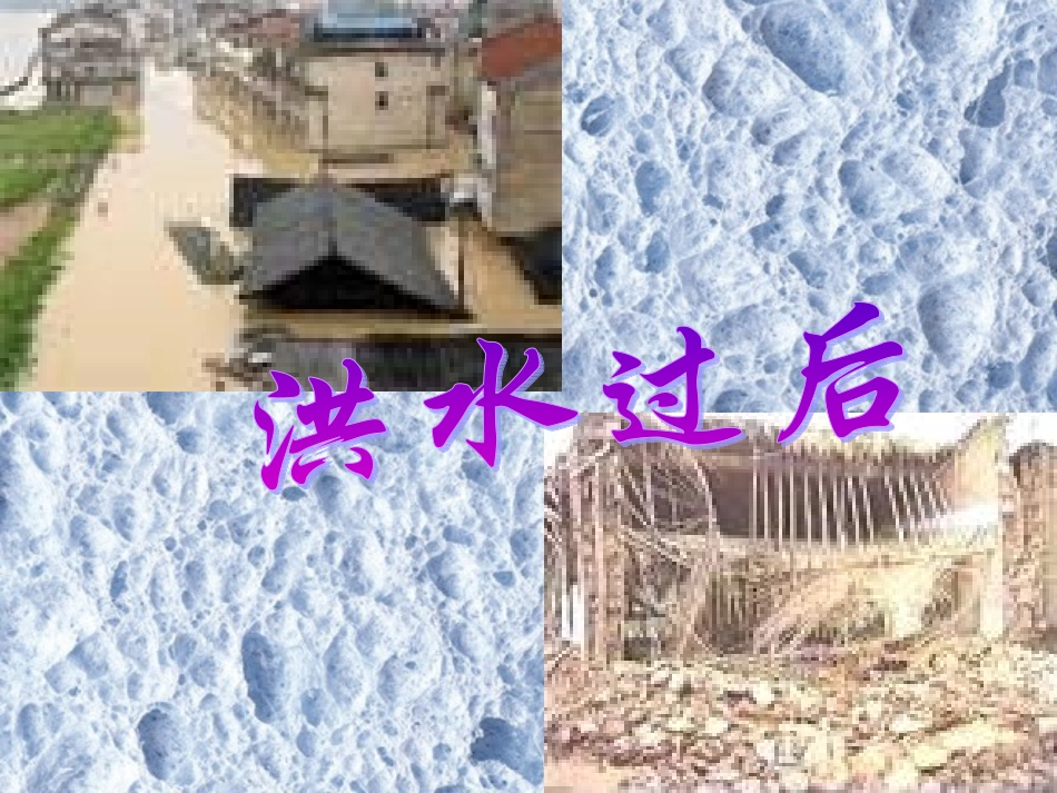 《樵夫，别砍那棵树》课件4_第3页