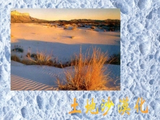 《樵夫，别砍那棵树》课件4