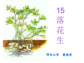 小学语文五年级15课《落花生》教学课件