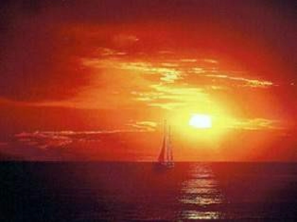 一年级语文上册第二单元8　阳光（金波）第一课时课件_第3页