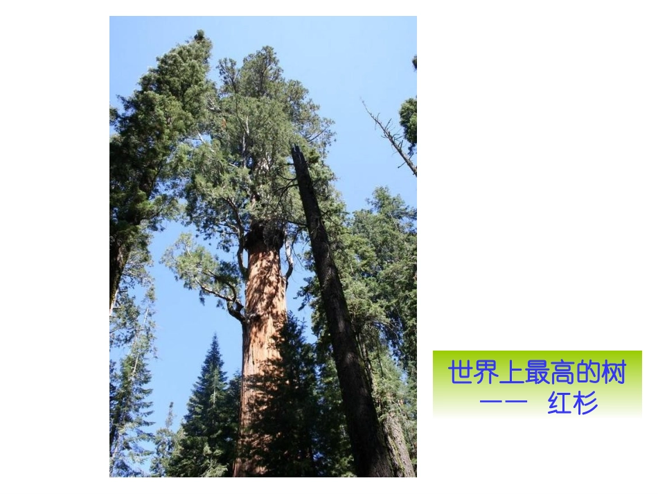 相似三角形应用举例1_第3页