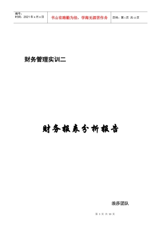 浪莎集团财务报表分析报告