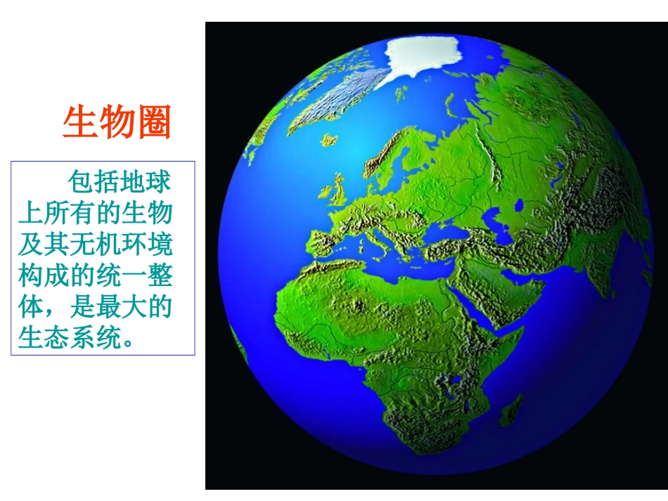 生态系统的结构_第3页