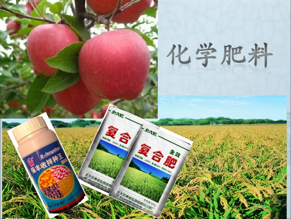 课题2化学肥料_第2页