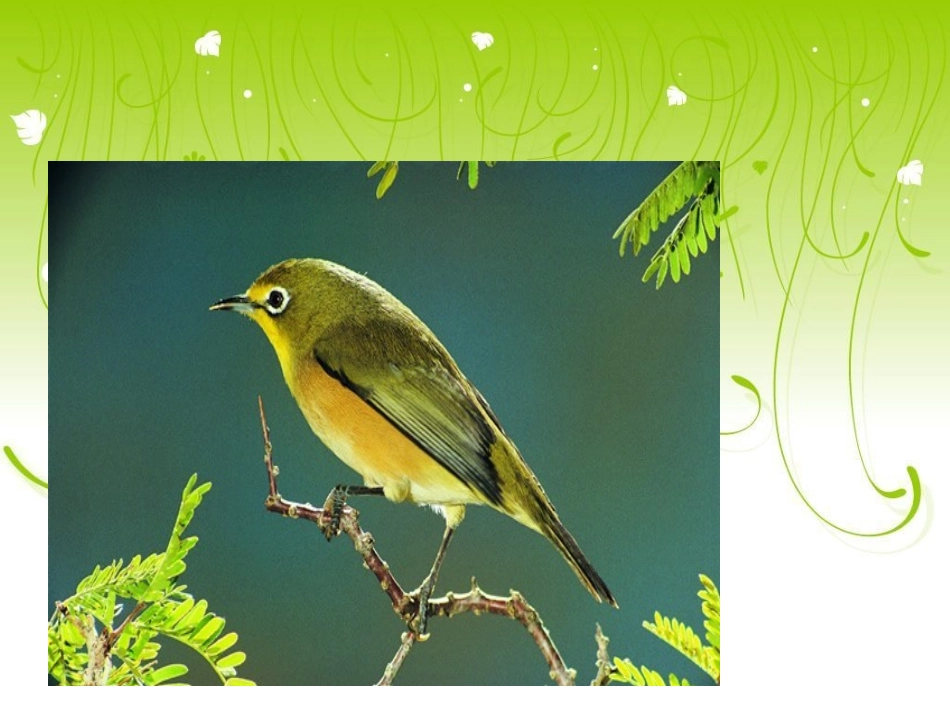 苏教版二年级语文上册《乡下孩子》PPT课件_第3页