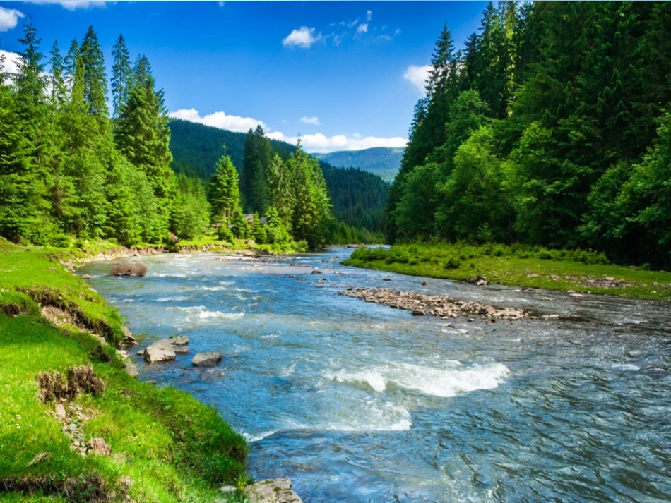 一年级数学上册第六单元：6-10的认识和加减法68解决问题第一课时课件_第2页