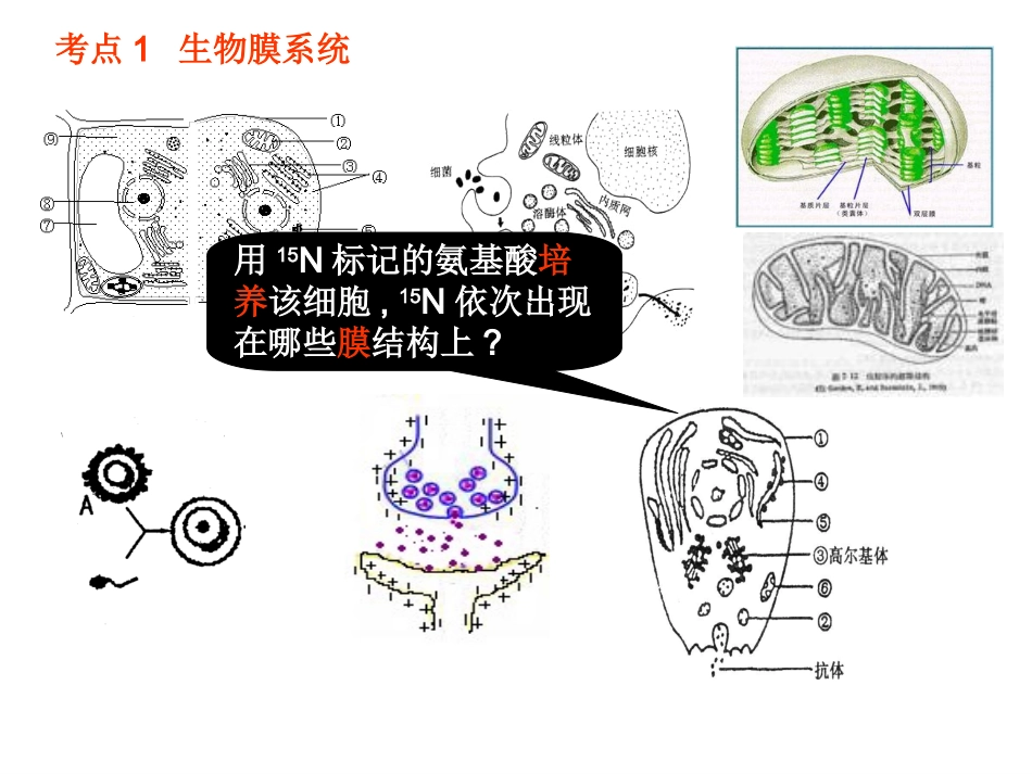细胞工程(公开课)_第3页