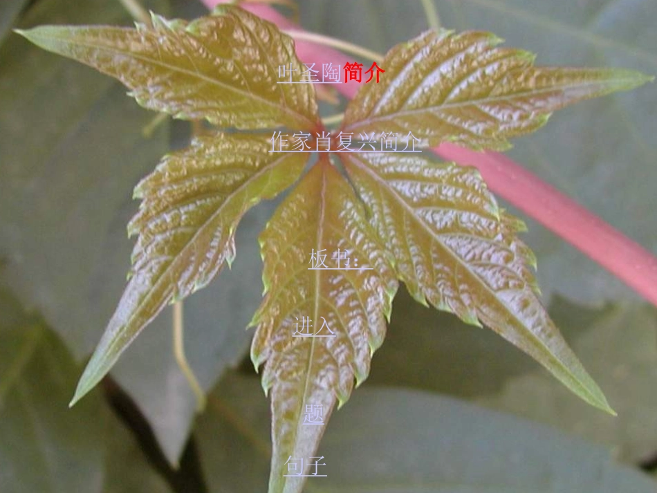 绿绿的爬山虎_第2页