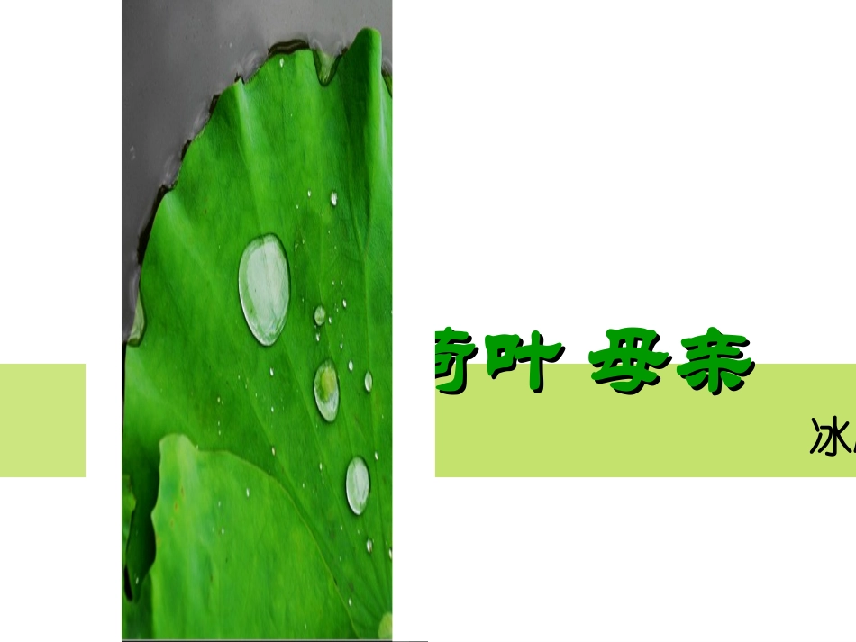 《荷叶母亲》课件（14页）_第1页