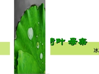 《荷叶母亲》课件（14页）