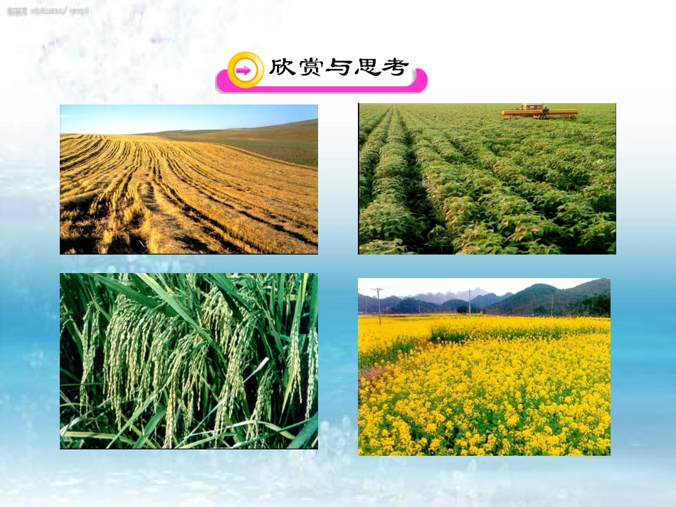 【精品课件】第一节农业第1课时_第2页