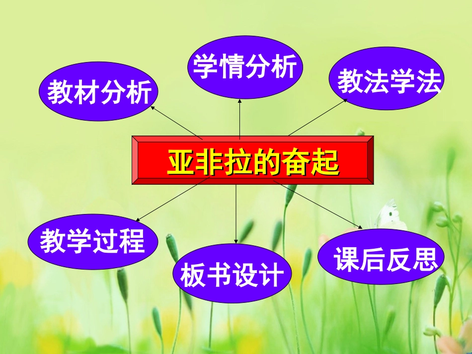 人教版九年级历史下册_12课_亚非拉的奋起_说课稿PPT_第3页