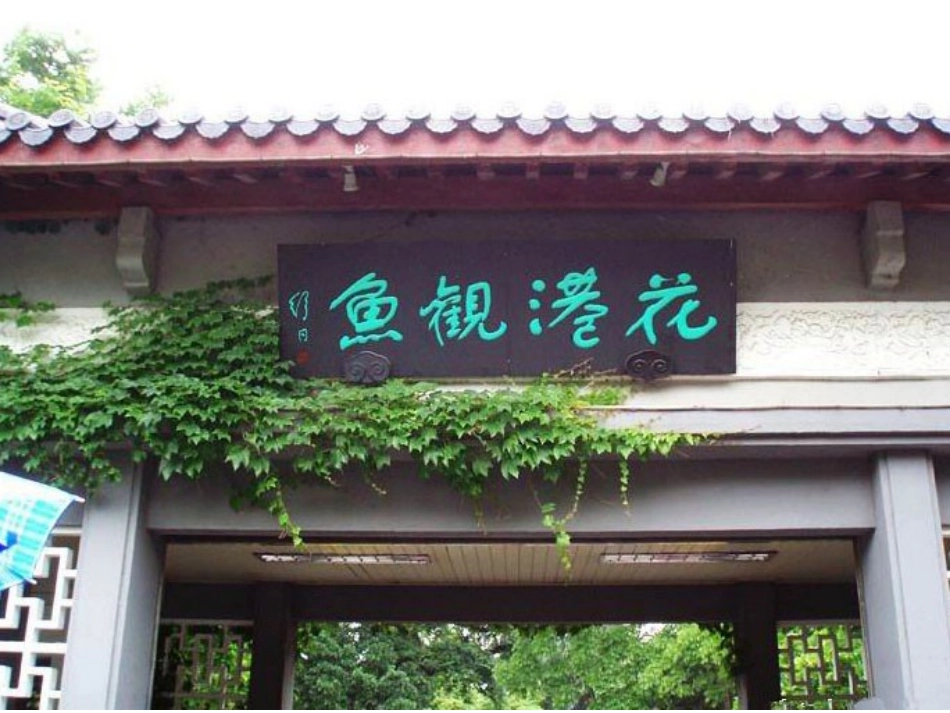 鱼游到了纸上_第3页