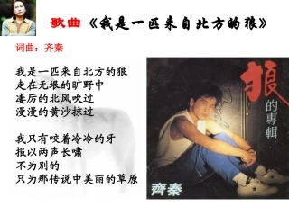 《狼》课件（51页）