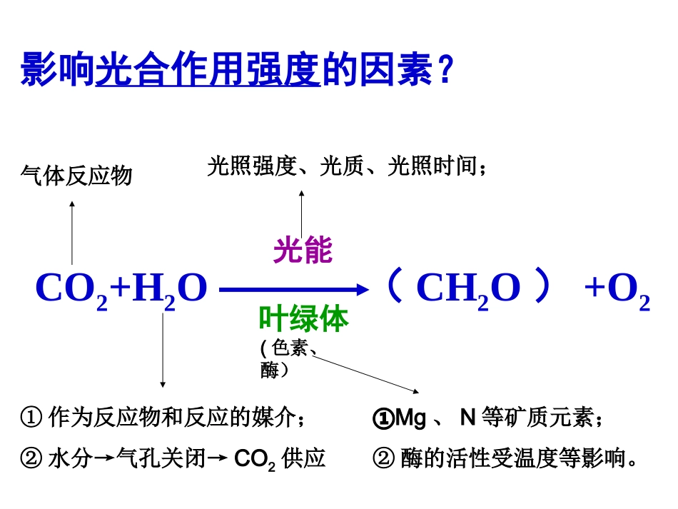 影响光合作用的因素及应用_第2页