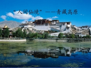 藏羚羊跪拜_课件 (2)