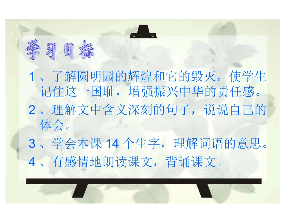 人教新课标版小学五上《圆明园的毁灭》课件1_第3页