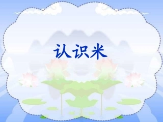 西师版小学二年级上《米的认识》