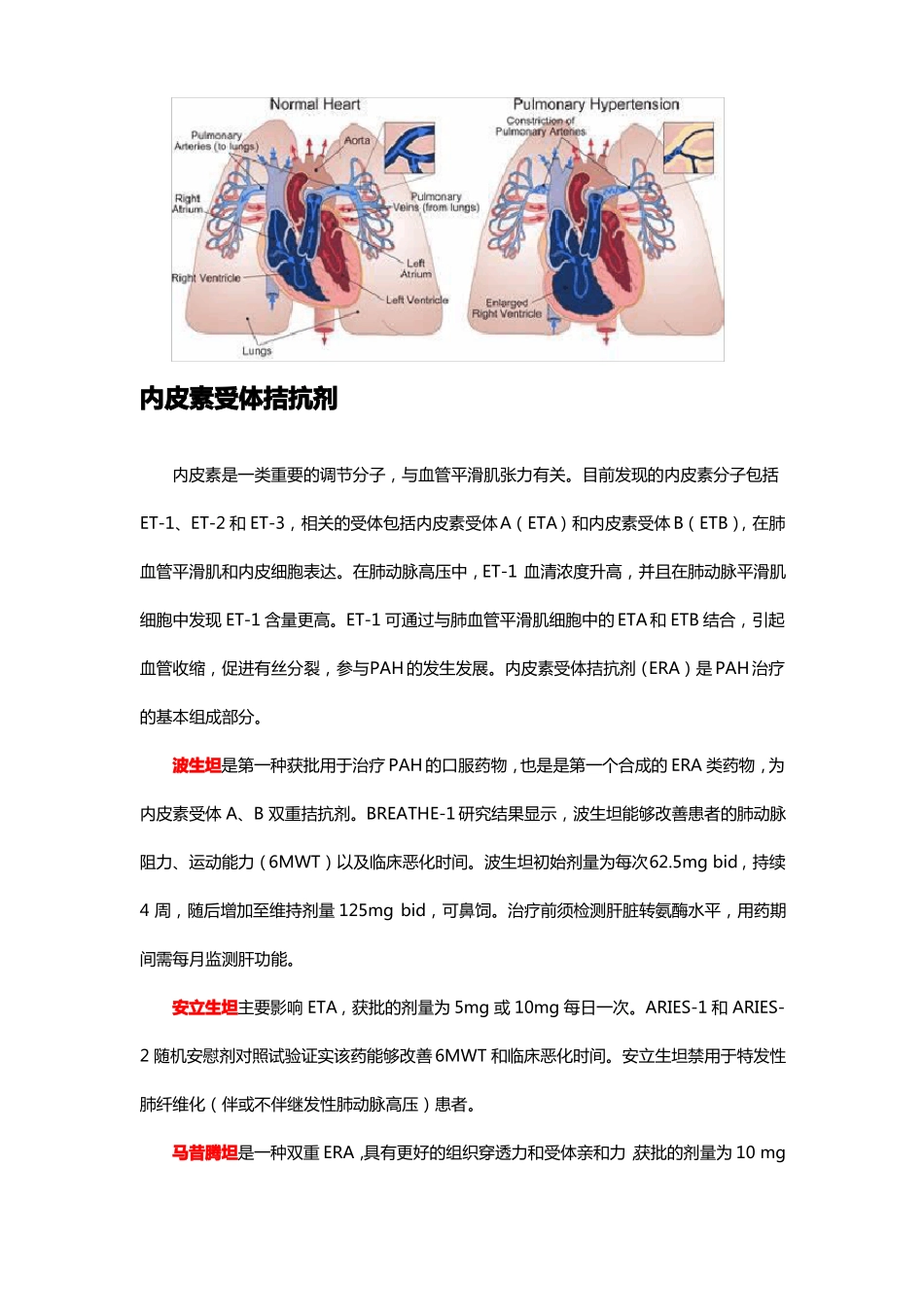 文献综述-肺动脉高压治疗靶向药物新进展_第2页
