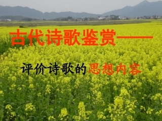 评价诗歌的思想内容(课堂实用)