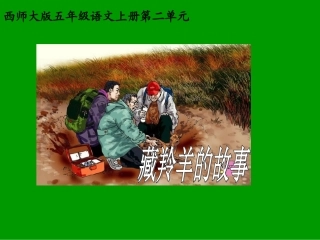 《藏羚羊的故事》教学课件