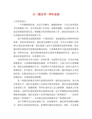 大一团支书一学年总结 