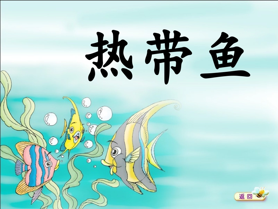 《热带鱼》教学课件_第1页