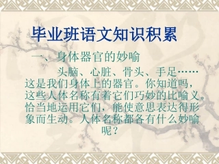 毕业班语文知识积