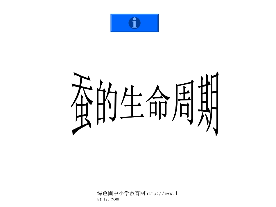 蚕的生命周期PPT_第1页