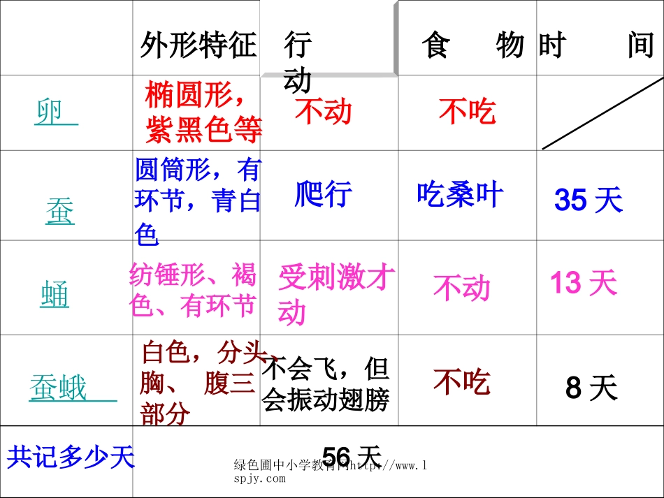 蚕的生命周期PPT_第2页