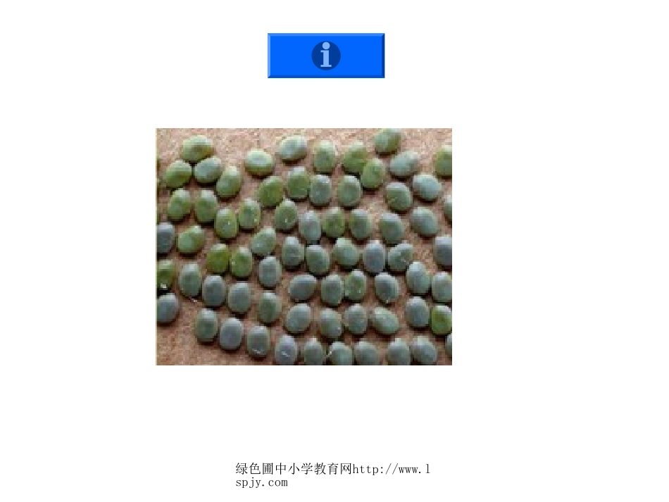 蚕的生命周期PPT_第3页