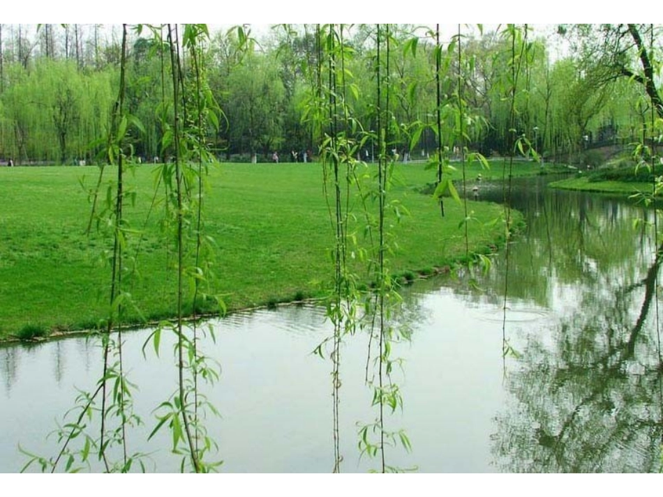 北师大语文生命与水_第1页