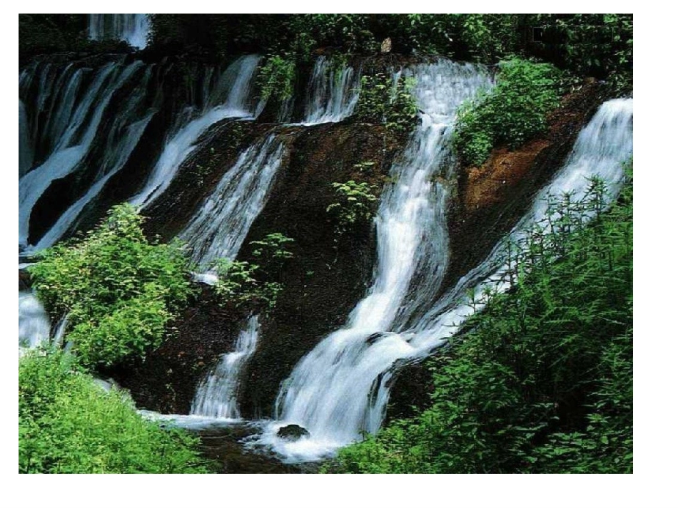 北师大语文生命与水_第2页