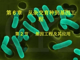 基因工程及其应用课件