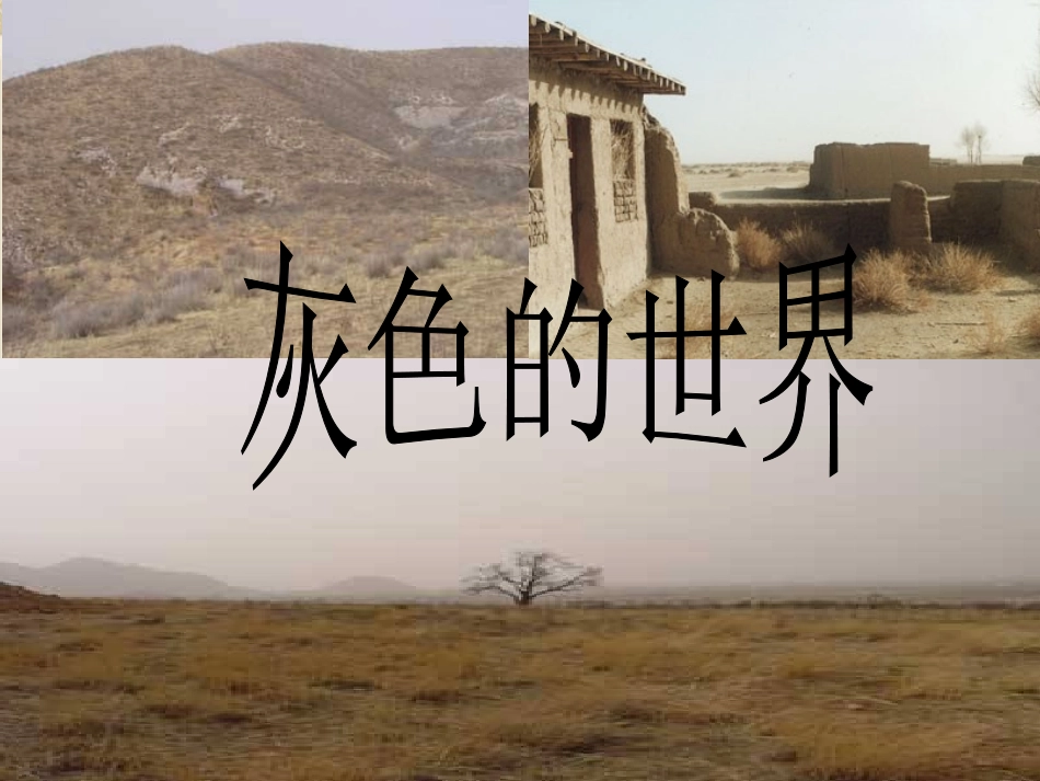 世界因生命而精彩_第3页