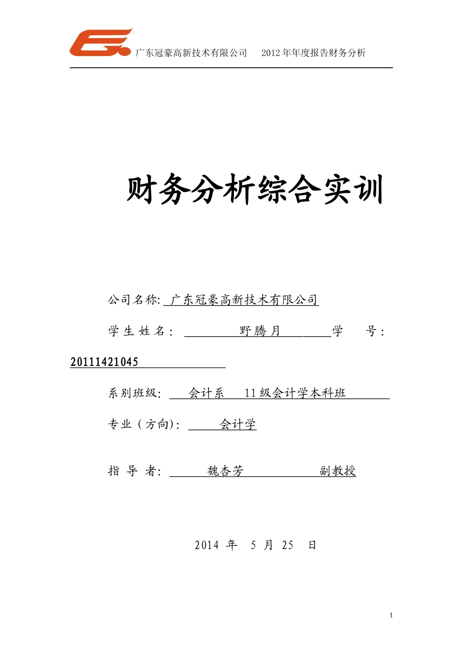 广东冠豪财务分析报告_第1页