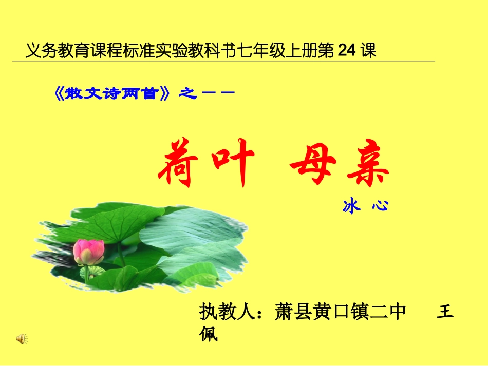 《荷叶母亲》课件_第1页