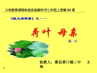 《荷叶母亲》课件